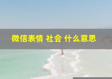 微信表情 社会 什么意思